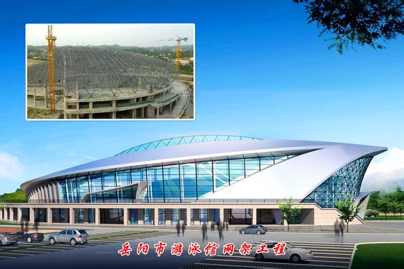 龙泉游泳池网架